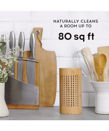 APRAII Charcoal Bag Odor Absorber - Activated Charcoal Bags for Home - Air Purifying & Moisture Absorbing Bamboo Charcoal Purifier - Odor Eliminator & Closet Freshener - Buy Online on SooperMarket.com