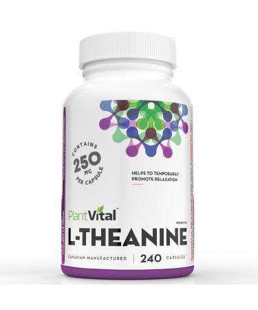 PlantVital High Potency L-Theanine 250mg Capsules - 240 Count - L Theanine Supplement for Relaxation and Stress Management Non-GMO Made in Canada - L-Theanine Supplements 8 Month Supply 240 count (Pack of 1)
