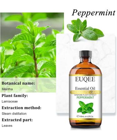 Peppermint essential oil (4 oz/118 ml) Pure Essential Oil - with Glass Dropper Great for Aromatherapy Diffuser Candle Making - Buy Online on SooperMarket.com