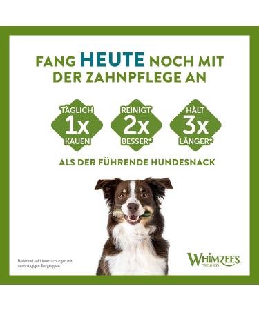 Whimzees by Wellness Stix - Natural Grain-Free Dental Care Snacks for Large Dogs | Monthly Pack of 30 Couch Sticks | Size L - 1 kg (1 Pack) - International Shipping Available - Buy Online on SooperMarket.com