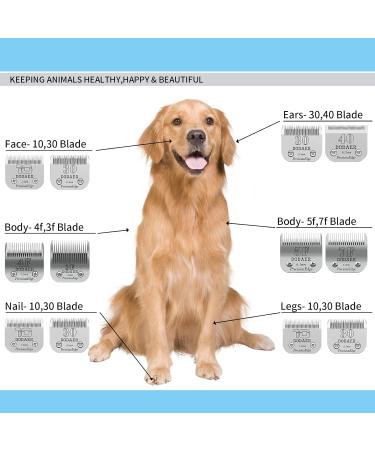 Premium Ceramic Blades for Dog Hair Cutters - Moser 45-50 Heiniger Andis Easter A5 KM10 - Size 40# 0.25mm (2 Pieces) - Buy Online on SooperMarket.com
