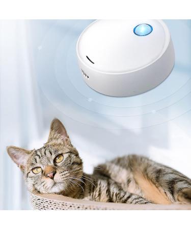 Wood Collection Cat Toilet Deodorant - Mini Air Purifier & Odor Neutralizer for Pets Wardrobes Shoe Cabinets & Kitchens - Buy Online on SooperMarket.com