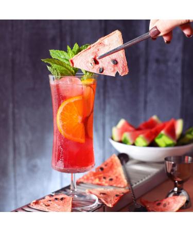 Frona Dried Fruit Cocktail Garnish Slices I Dehydrated Fruit - 100g Pouch (Watermelon) - Buy Online on SooperMarket.com