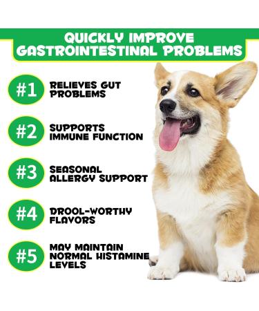 Oimmal Probiotics for Dogs Gut Health - 30pc Digestive Treats for Dog Support Seasonal Allergies Itchy Ears Dog Probiotic Supplement Soft Chews Improve Pet Immune System Dogs - Duck Flavour - Buy Online on SooperMarket.com