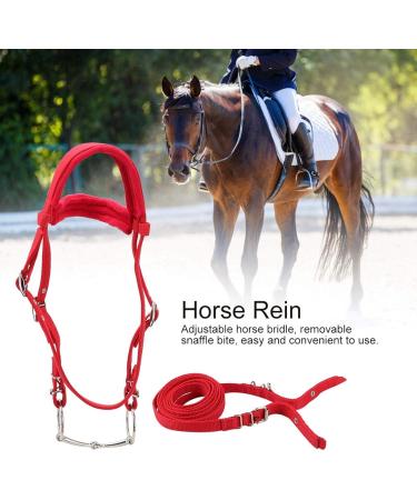 Premium PP Horse Bridle & Harness | Durable Horse Equipment for Home & Travel - Buy Online on SooperMarket.com