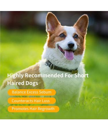 Nobleza Puppy Shampoo - Mild Almond & Honey - Itch Relief for Short-Haired Dogs (250ml) | Ideal for French Bulldogs & Pugs - Buy Online on SooperMarket.com