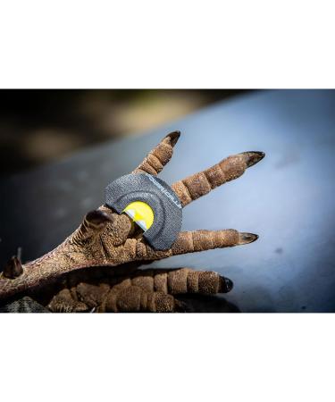 Short Circuit Combo Diaphragm Turkey Call Pack - Power Calls | Shop Now - Buy Online on SooperMarket.com