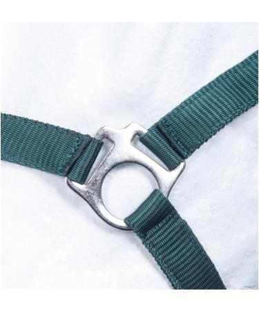 Nylon Halter BASICLINE - Dark Green Warmblood | RL24 | Durable & Stylish Horse Gear - Buy Online on SooperMarket.com