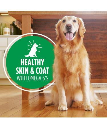 IAMS Proactive Health Wet Dog Food Adult Beef & Rice Classic Ground 369g Can (12 Pack) Pate Beef & Rice 369 g (Pack of 12) - Buy Online on SooperMarket.com
