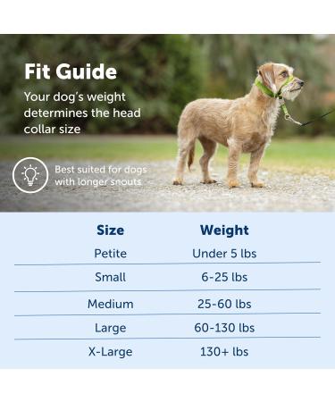 PetSafe Gentle Guide Collar Small Red with Training DVD | Best International Shipping - Buy Online on SooperMarket.com