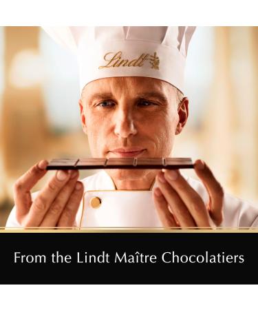 Lindt EXCELLENCE Sea Salt Dark Chocolate Bar 100 Grams - Buy Online on SooperMarket.com
