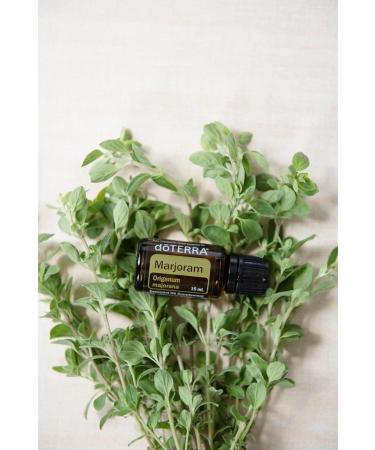doTERRA Marjoram Essential Oil 15 ml - Premium Quality International Shipping Available - Buy Online on SooperMarket.com