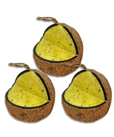 XL Mealworm & Insect Suet Coconut Feeder 3 Pack Wild Bird Food Hanging Feeder Suet for Birds
