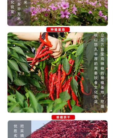 Red oil Chili Sauce Instant sauce Sesame Red Oil Spicy Sauce (65g*5/10/20 cans) dipping sauce Chili pepper mixed noodles sauce Chilli & Hot Pepper Sauce Miso delicious snack gifts (10 cans) - Buy Online on SooperMarket.com