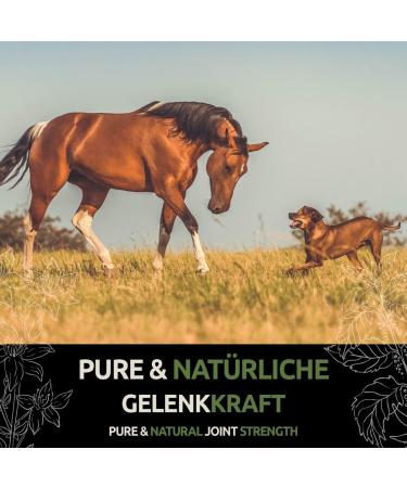 Greenpet MSM Powder for Dogs & Horses | 500g High-Purity Methylsulfonylmethane | 99.94% Pure Organic Sulfur for Joint Health Tendons & Cartilage Support - Buy Online on SooperMarket.com