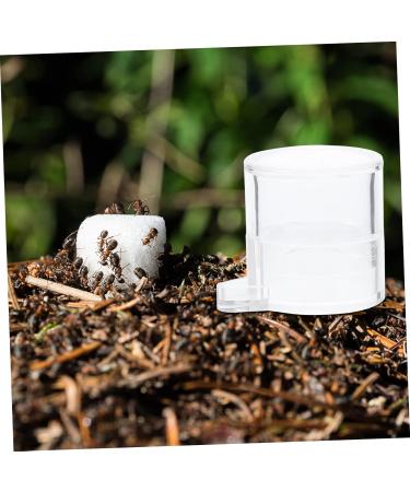 BESPORTBLE 2pcs Ant Water Feeder Ant Water Feeding Bowl Automatic Water Bowl Mini Ant Nest Acrylic Transparent - Buy Online on SooperMarket.com