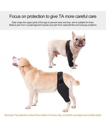 Hip Brace for Dogs - Flexible Hip Brace for Dogs Dog Hip Joint Brace for Torn ACL Patella Luxation Osteoarthritis Limping from Joint Hip Dysplasia Kot-au Black Medium - Buy Online on SooperMarket.com