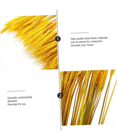 100pcs Dried Wheat Ears Bouquet Dried Flowers Decor Wedding Wheat Ear Floral Arrangement Wheat Ear Wheat Stalk Flowers Wheat Ear Dry Flowers Home Wheat Ear Real Flower Natural Yellow 52X10CM - Buy Online on SooperMarket.com