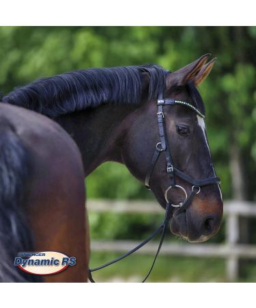 Buy Sprenger Dynamic RS Bridle 14mm - SENSOGAN Silver 14.5 | International Shipping Available - Buy Online on SooperMarket.com