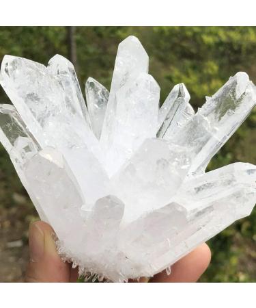 Natural Transparent White Quartz Crystal Cluster Specimen Reiki Stone kaixun (Size : 400-450g) - Buy Online on SooperMarket.com