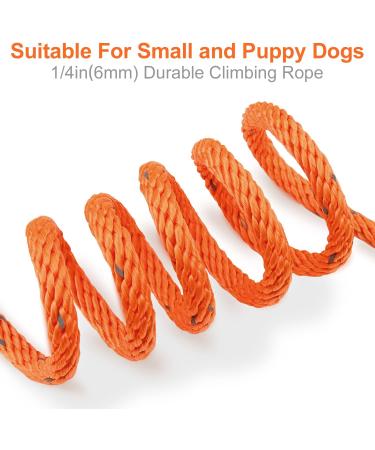 Joytale Reflective Drag Line for Dogs - 5m Padded Leash with 2 Carabiners | Nylon Training Rope for Puppies & Small Dogs - Orange - Buy Online on SooperMarket.com