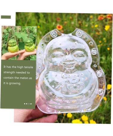 STOBOK 6 Pcs Vegetable Shaping Mold Tool Cucumbers Pear Growth Watermelon Mold Growing Fruit Mold Cute 9x8cm Transparent - Buy Online on SooperMarket.com