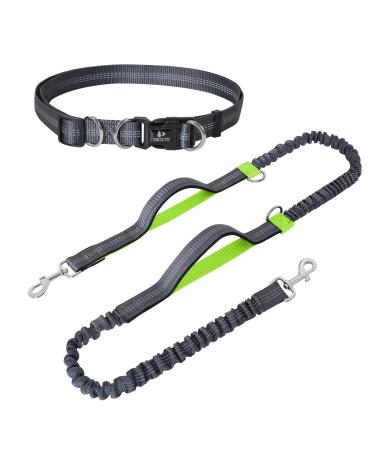 Snocyo jogging leash dogs jogging dog leash for medium -sized and large dogs elastic and reflective dog leash retractable running line with double handle & waist belt for a dog gray and light green