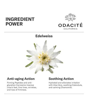 ODACITE Edelweiss Extreme Eye Cream - Anti-Aging Vegan Skincare with Carnosine Peptides for All Skin Types - 0.51 oz - Buy Online on SooperMarket.com