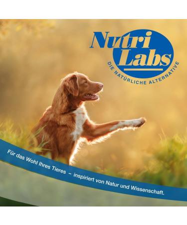 Nutrilabs Colofor Powder for Dogs 400g - Nutritional Supplement for Dog Diarrhea with Bentonite L-Glutamine & Prebiotics - Former Estifor Powder - Buy Online on SooperMarket.com