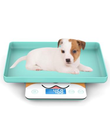 Mindpet-Med Digital mini pet scale for newborns and small animals precision grammar scales for weighing accuracy of 0.03 OZ capacity of 33 lbs five units switchable blue