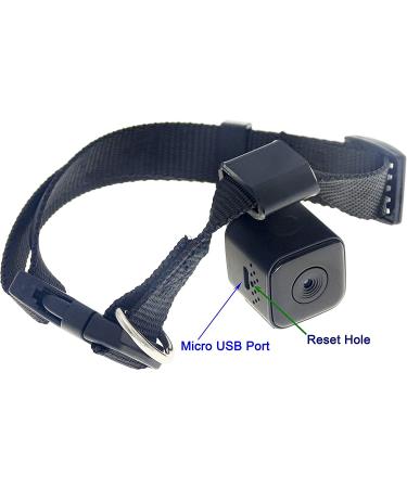 Pet Collar Cam DVR: Video Recorder & Monitor for Dogs, Cats, and Puppies - Buy Online on SooperMarket.com