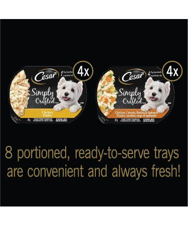 CESAR Simply Crafted Wet Dog Food Variety Packs | Adult Dog Food with Chicken Vegetables Fruits and Grains - Buy Online on SooperMarket.com