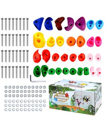 TOPNEW 32 Rock Climbing Holds Multi Size for Kids, Adult Rock Wall Holds Climbing Rock Wall Grips for Indoor and Outdoor Playground Play Set - Includes 2 Inch Mounting Hardware
