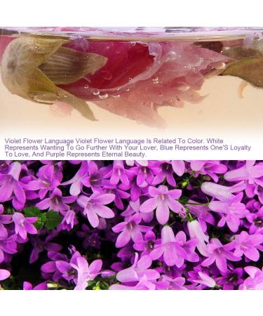 Dried Violets 35g - Sweet Violet Tea and Edible Flowers for Natural Food Coloring - Buy Online on SooperMarket.com