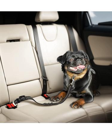 Adjustable Black Dog Seat Belt with Elastic Bungee Buffer - Car Travel Accessories - Buy Online on SooperMarket.com