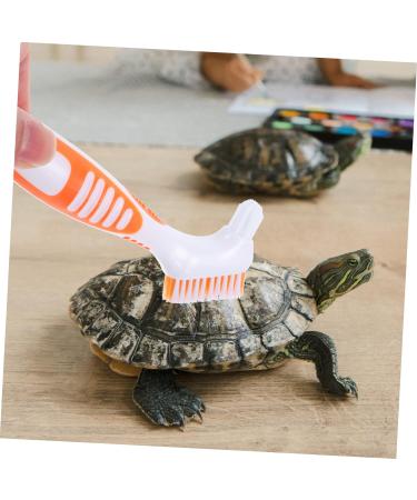 Beaupretty Turtle Shell Cleaning Brush grip cleaning brush turtle cleaning brush aquatic animal cleaning brush hamster cleaning brush toothbrush cleaner tool reptile care plastic water turtle 16x5cm As Shown 2 - Buy Online on SooperMarket.com