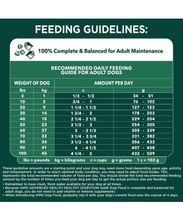 IAMS Advanced Health Dog Food Dry Healthy Digestion Adult Chicken & Whole Grain Recipe 2.72kg (6LB) Bag 2.72 kg (Pack of 1) Dog Food - Buy Online on SooperMarket.com