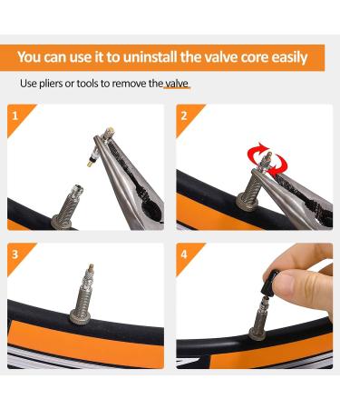 Buy Aobetak 15 Parts French Bicycle Valve Adapter Set - Sclaverand Valve Replacement Set with Insert Key Cap & Auto-Valve Adapter | International Shipping - Buy Online on SooperMarket.com