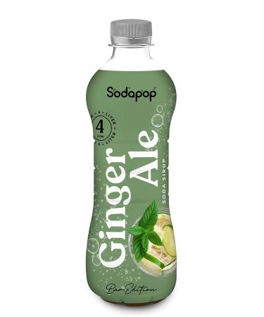 Sodapop Sirup Ginger Ale Bar Edition quickly and easily prepared 1 bottle gives 4 l ready drink 500 ml ginger ale 500 ml (1 Pack)