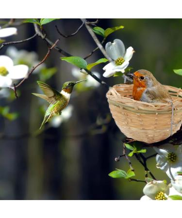Obelunrp Bird Nest for Wildbird 6pcs 3.9inch Bamboo Woven Nesting Boxes for Wild Birds Hatching Breeding Cave for Parrot Canary or Cockatiel - Buy Online on SooperMarket.com