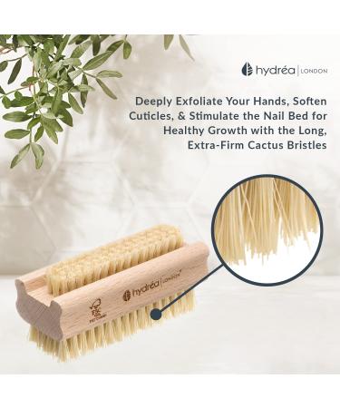 Hydrea Extra Robust Wooden Nail Brush Set - Firm Cactus Bristles | 2 Pieces | International Shipping Available - Buy Online on SooperMarket.com