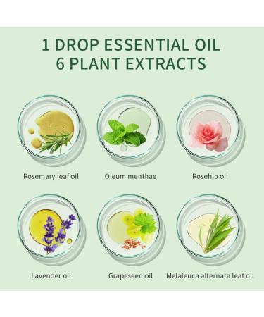 Trendyfave Rosemary Oil For Hair Growth Nourishes Hair Care Essential Oil Anti Frizz Hair Serum Ginger Hair Oil for Dry Damaged Hair | Repairs Smoothens Revitalizes Your Hair - for All Hair Types - Buy Online on SooperMarket.com