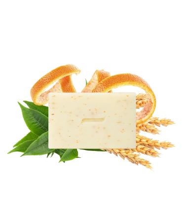 Caswell-Massey Heritage Body Scrub Bar Soap - Exfoliating Moisturizing Natural Soap for Men & Women - 6.4 Oz Scented Bath Bar for Face Body & Hands - Buy Online on SooperMarket.com