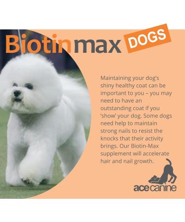 BiotinMax Vitamin Supplement for Dogs Coat & Skin Care Strongest Clinical Strength Biotin 5000 g 100 Capsules - Buy Online on SooperMarket.com