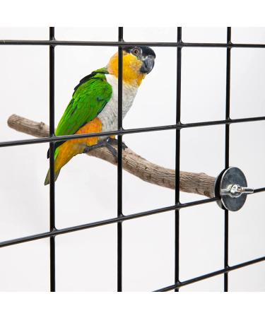 5PCS Natural Wood Bird Perches for Parrot - Wooden Stand Branches for Small Birds - Cage Accessories for Parakeet, Budgies, Cockatiels, Conure, Lovebirds - Buy Online on SooperMarket.com