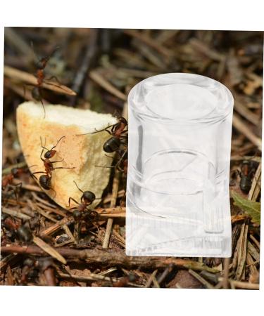 Balacoo 2pcs Ant Water Feeder ant Habitat Science ant Farm nest ant Castle ant Farming Castle ant Colony - Buy Online on SooperMarket.com
