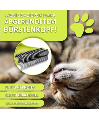 Orientpaw Professional Cat Brush Set - 3-in-1 Grooming Solution for Short & Long Hair | 100% Comfort & Hygiene - Perfect for Cat Care - Buy Online on SooperMarket.com