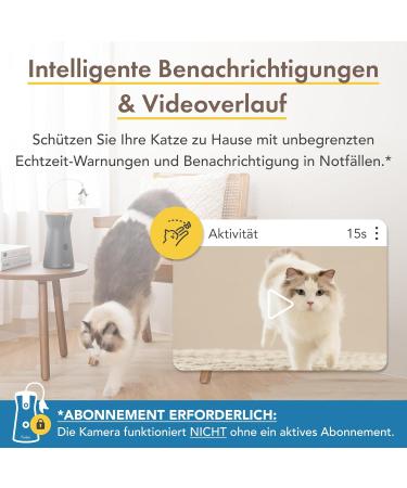 Furbo 360 Cat Camera | Premium Security Package | Intelligent Toy & Home Monitoring - Subscription Required - Buy Online on SooperMarket.com