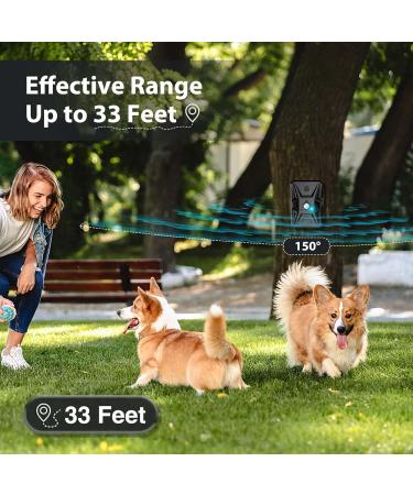 Queenmew Anti Bell Device for Dogs - 3 Modes Ultrasound Bark Control 33ft Range IPX4 Waterproof - Effective Training for Large & Small Dogs Indoors & Outdoors - Buy Online on SooperMarket.com