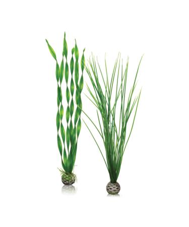 biOrb Plant Set L green Tall 2pk Green